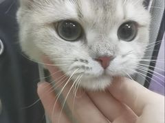 -瑞鹏宠物医院·宠保定点·心脏科·内科(御桥分院)