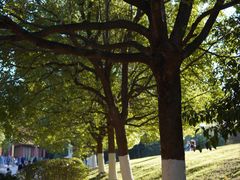 -南京市江宁方山