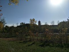 -永定河休闲森林公园