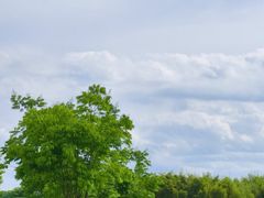 -良渚古城遗址公园