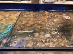 -海天盛宴新派海鲜自助餐厅(群力店)