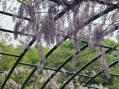 -渤公岛生态公园