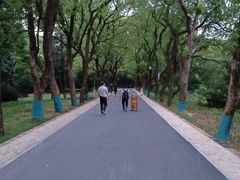 -东湖落雁景区
