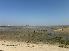 -北海金海湾红树林生态旅游区