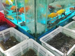-崖口红树林海鲜餐厅