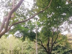 -后襄河公园