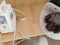 -美联众合动物医院·24h京西诊疗中心