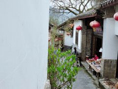 -后柳水乡