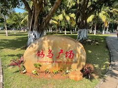 -万绿园