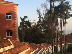 -鼓浪屿钢琴博物馆