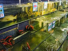 大堂-庆余生平价生猛海鲜(海棠湾林旺夜市店)