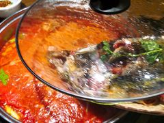 酸汤鱼火锅-阿婉贵州苗家酸汤鱼(梅林店)