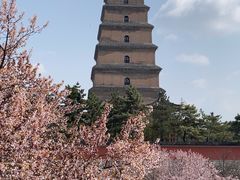 -大慈恩寺(大雁塔)