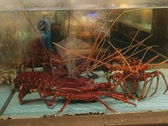 -阿伟海鲜楼·福建菜(延寿店)