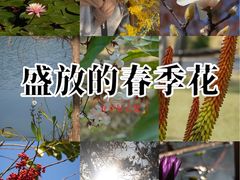 -东莞植物园