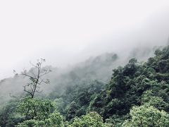 -姑婆山旅游区