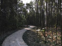 -福建鲤鱼洲酒店