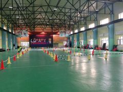 -长春乐奇平衡车儿童体能运动中心