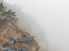 -棒棰岛宾馆景区