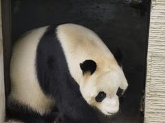 -黔灵山公园