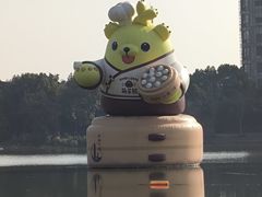 -南翔镇银翔湖公园