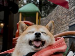 -老外街