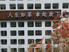 -扫雪煮茶(西村店)