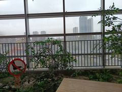 -芭莉与彩虹西餐厅(成都合生汇店)