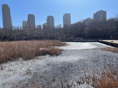 -成吉思汗公园