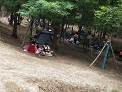 -白水寺森林公园