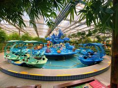 -南宫五洲植物乐园