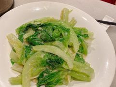 -金鼎轩(方庄天坛店)
