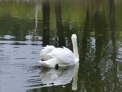 -鄂尔多斯野生动物园