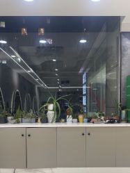 -真好真意SALON 接发·染·烫特色店