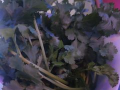 -季季红火锅(动壹店)