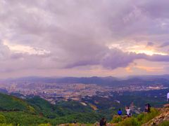 -长虫山生态公园风景林
