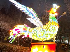 -青龙湖公园