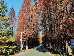 -上海海湾国家森林公园