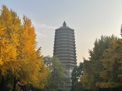 -玲珑塔公园