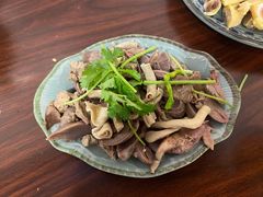 -九斤黄三黄鸡专卖店