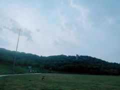 -羊山湖公园