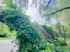 -北极寺公园