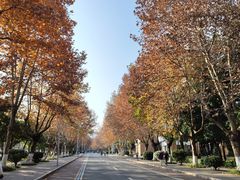 -西南交通大学(九里校区)