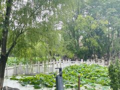 -莲湖公园