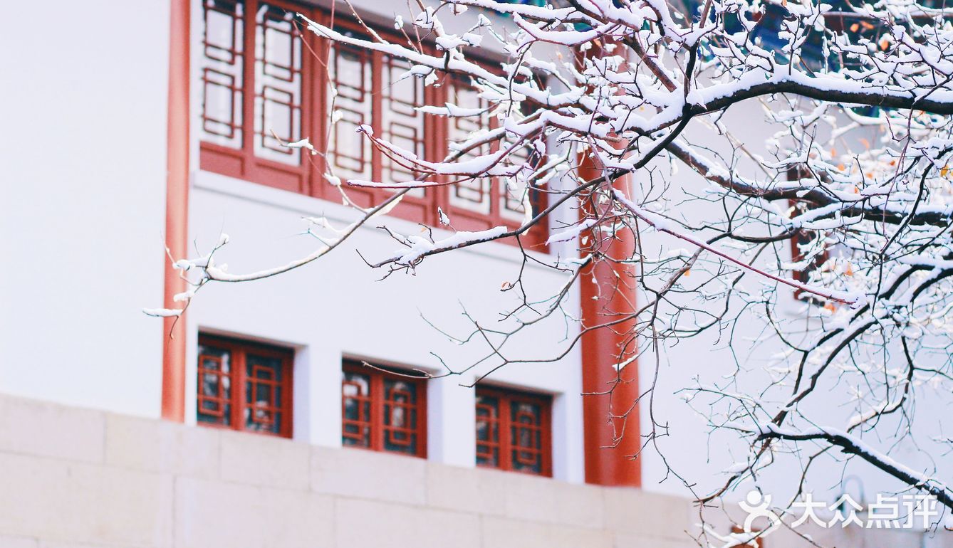 燕园初雪，还有你。