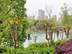 -天鹅湖体育公园