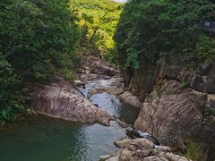 -广州白江湖森林公园