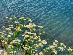 -武陵山森林公园