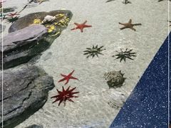 -福州罗源湾海洋世界旅游区