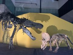 -湖南省地质博物馆